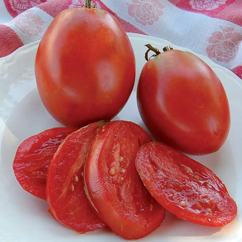 Tomato, Amish Paste