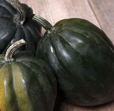 Squash, Table Queen Acorn