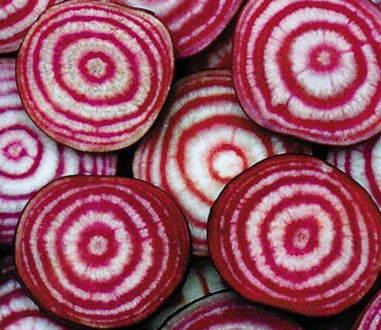 Beet, Chioggia