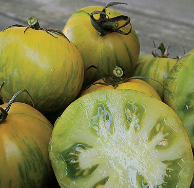 Tomato, Green Zebra