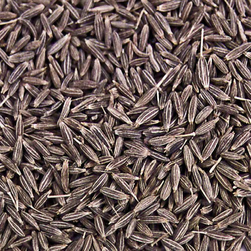 Cumin (Cuminum cyminum)