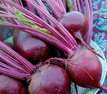 Beet, Detroit Dark Red