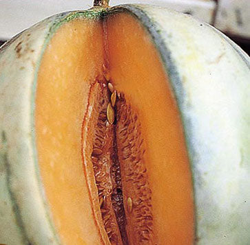 Melon, Charentais