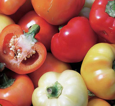 Pepper, Alma Paprika (SWEET)