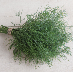 Dill, G-Eincks