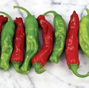 Pepper - Shishito