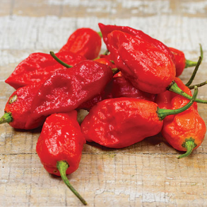 Pepper, Ghost-Joloki