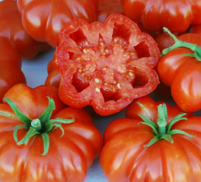 Tomato, Rosso