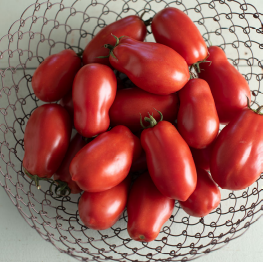 Tomato, San Marzano