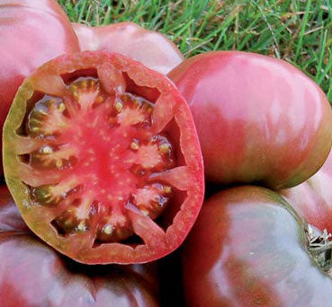 Tomato, Cherokee Purple