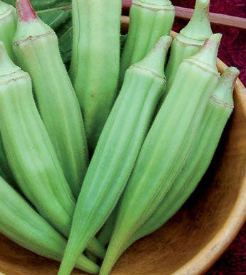 Okra, Clemson Spineless