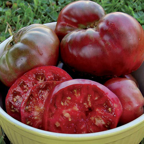 Tomato, Black Crimea