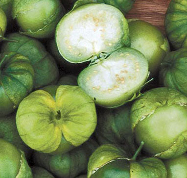 Tomatillo, Green Husk