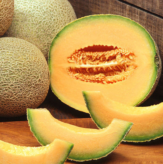 Melon, Sweet Passion