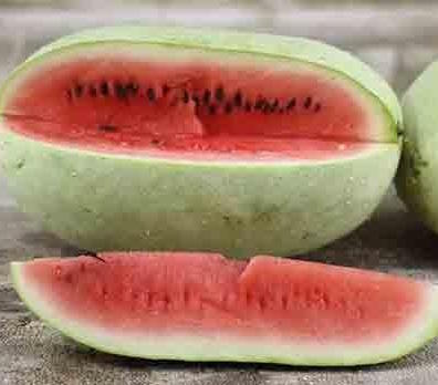 Watermelon 'Ali Baba' - Citrullus lanatus