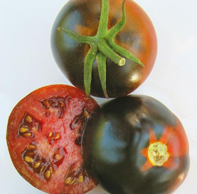 Tomato - Chesnut